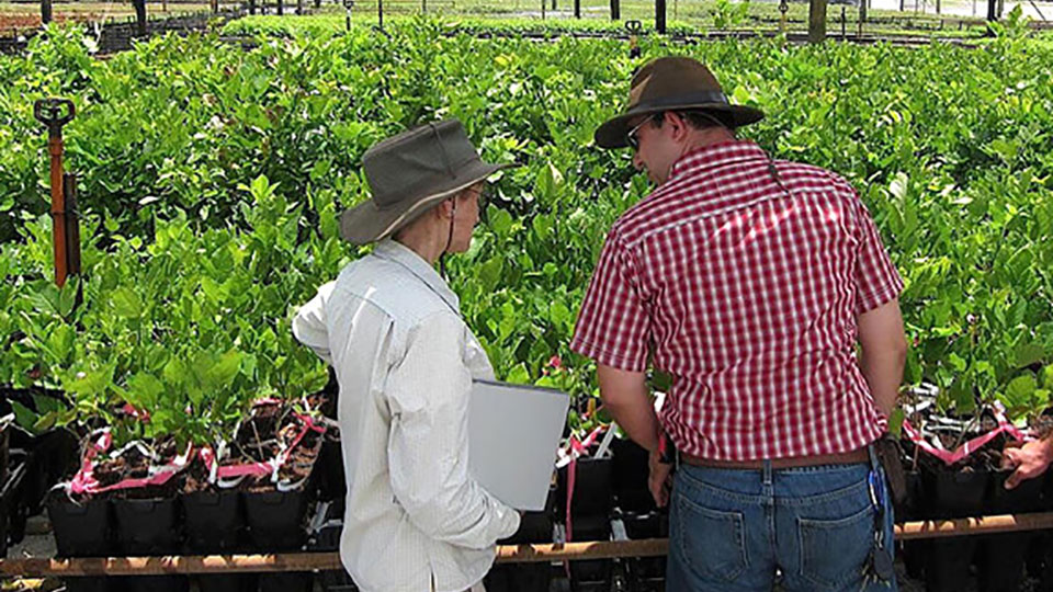 woman and man in greenhouse