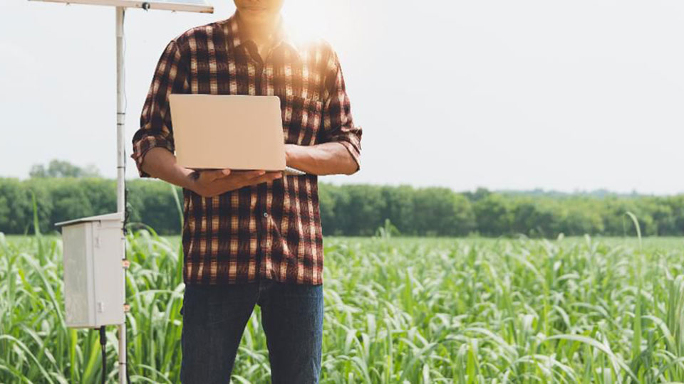 man with laptop in field